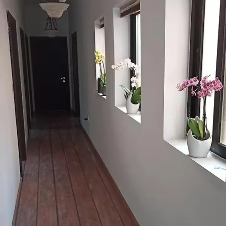 Lovely Private With Private Bathroom Accommodatie bij particulieren *