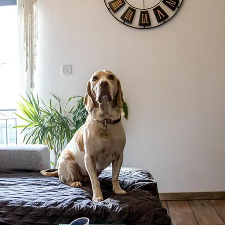 Lovely Private With Private Bathroom * Is-Swatar