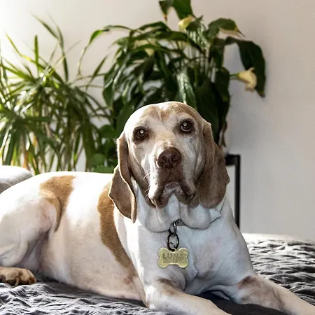 Homestay szállás Lovely Private With Private Bathroom