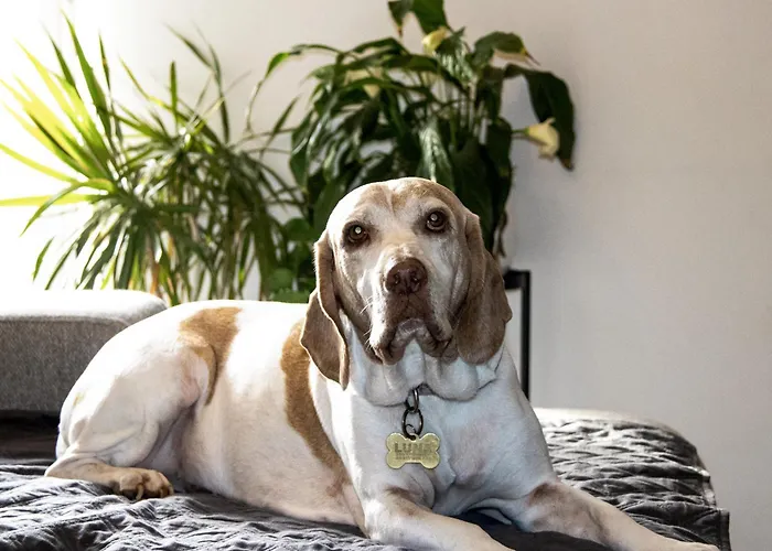 Δωμάτια σε οικογενειακή κατοικία Lovely Private With Private Bathroom