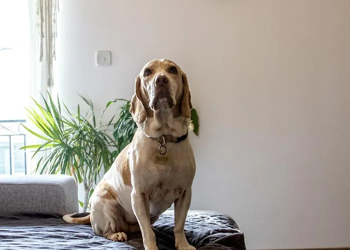 Lovely Private With Private Bathroom * Is-Swatar